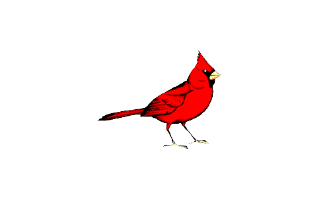 Cardinal