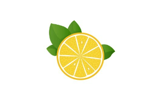 Lemon Slice