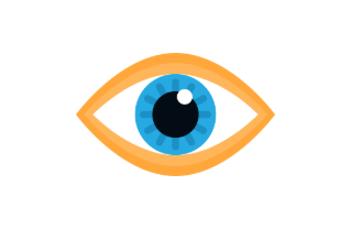 Eye