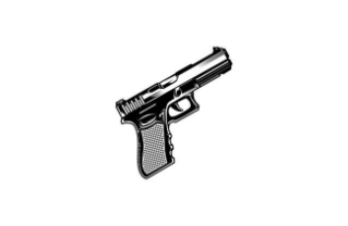 Gun