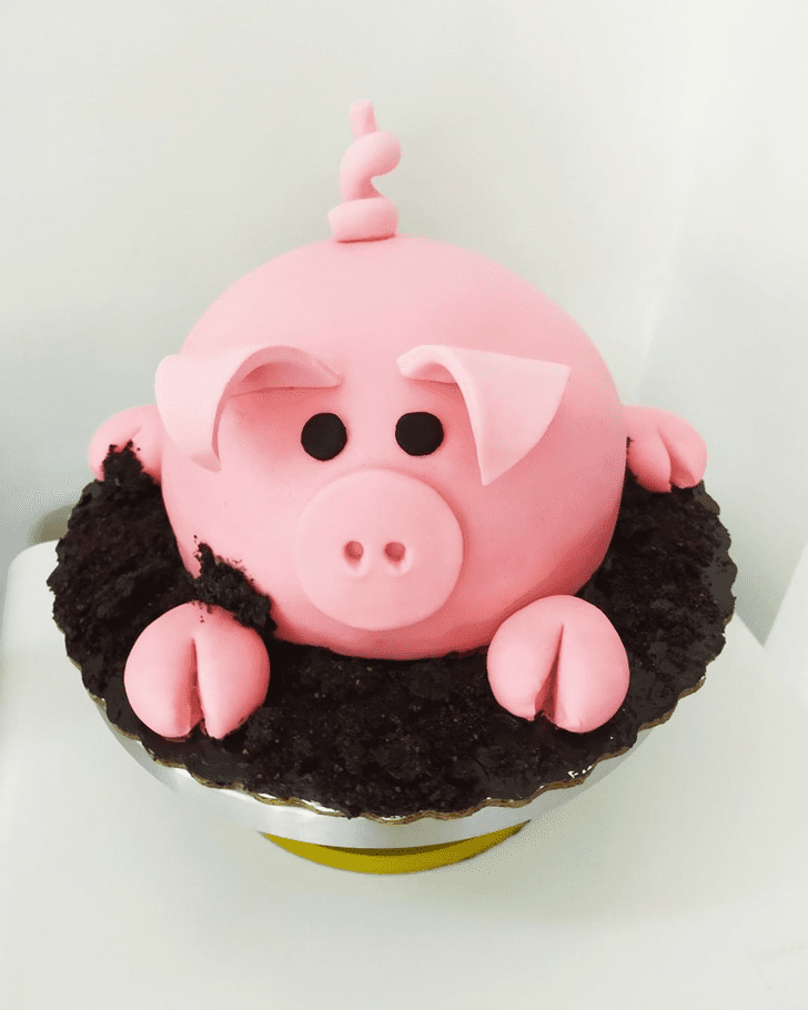 Pig Birthday Cake Ideas Images Pictures   Pig Cake Design 03 